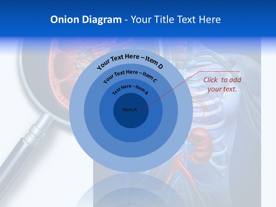 Arteries Details Science PowerPoint Template