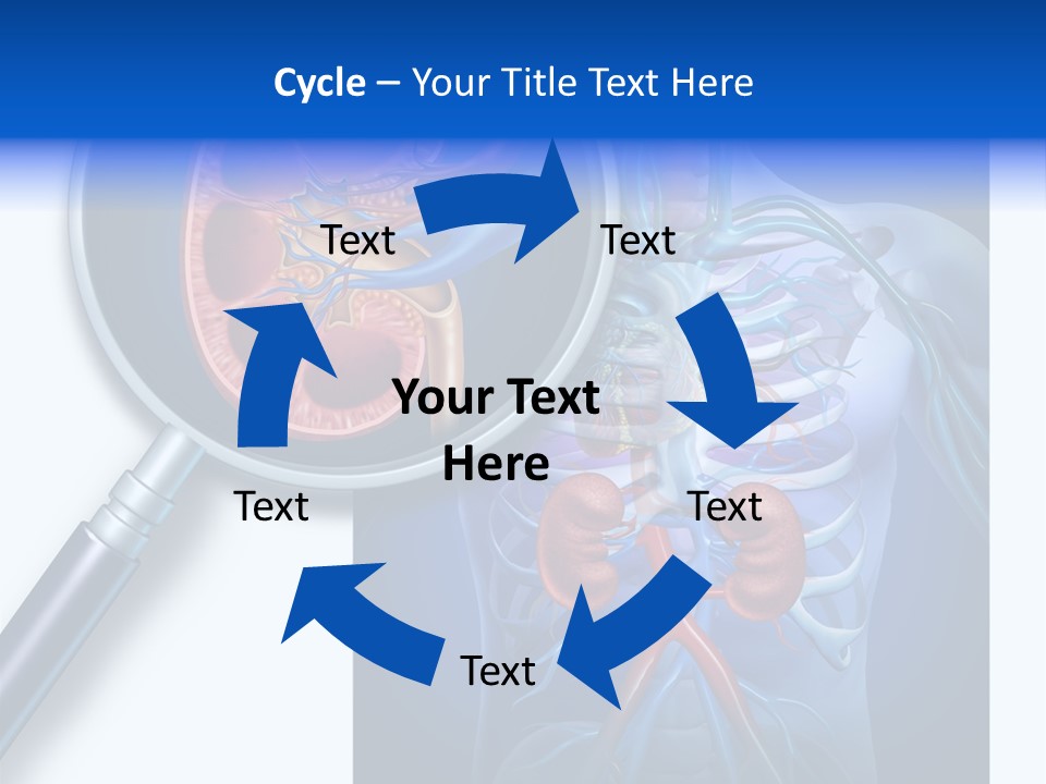 Arteries Details Science PowerPoint Template