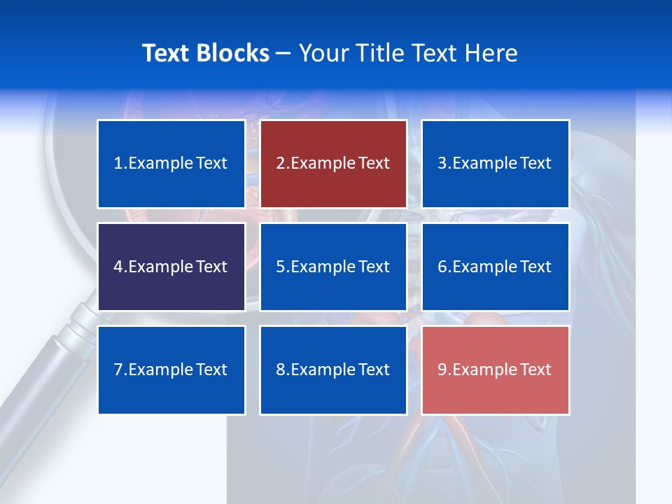 Arteries Details Science PowerPoint Template