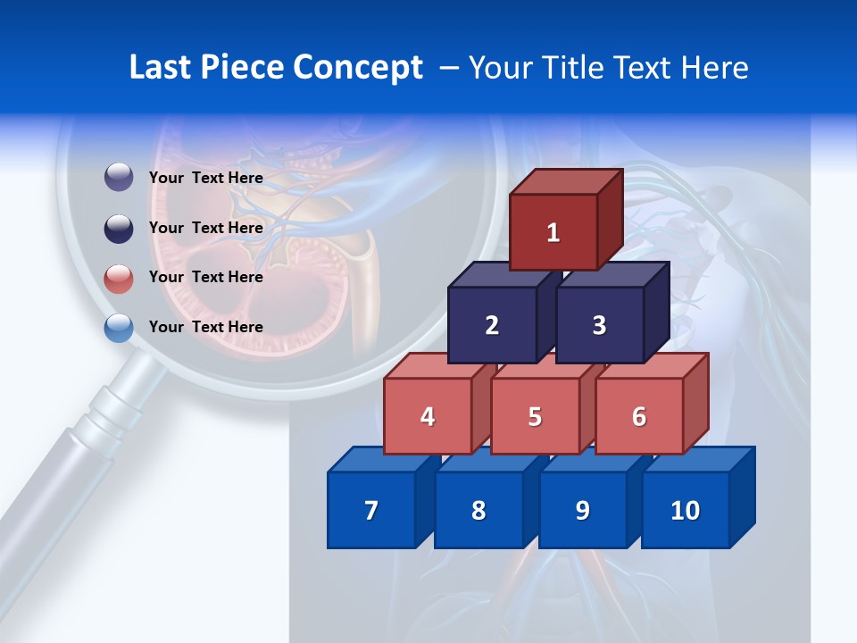 Arteries Details Science PowerPoint Template