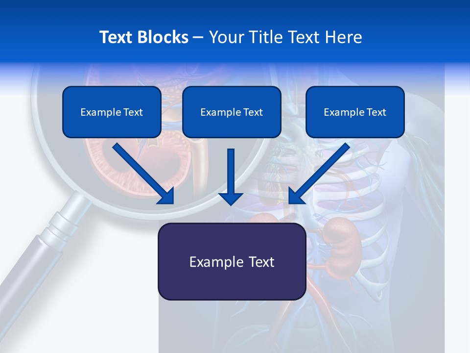 Arteries Details Science PowerPoint Template