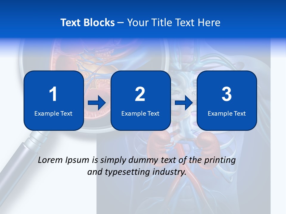Arteries Details Science PowerPoint Template