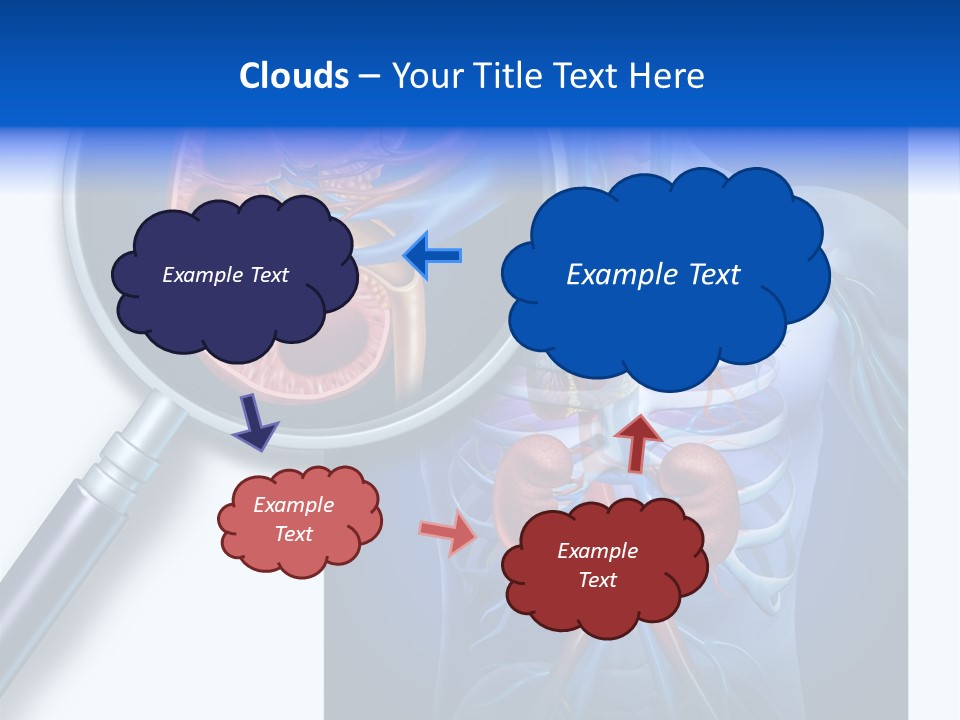Arteries Details Science PowerPoint Template