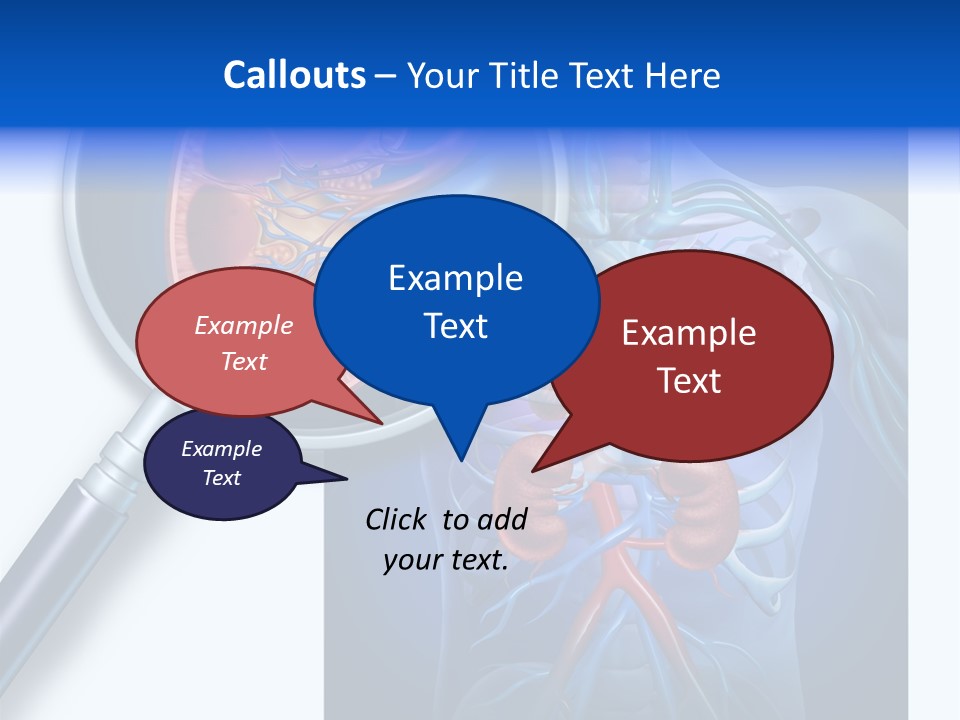 Arteries Details Science PowerPoint Template