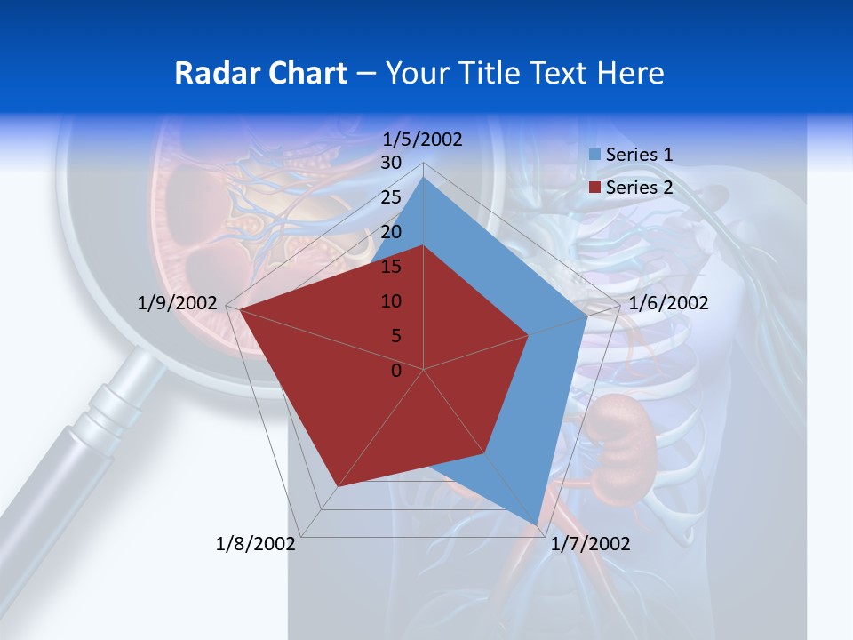 Arteries Details Science PowerPoint Template
