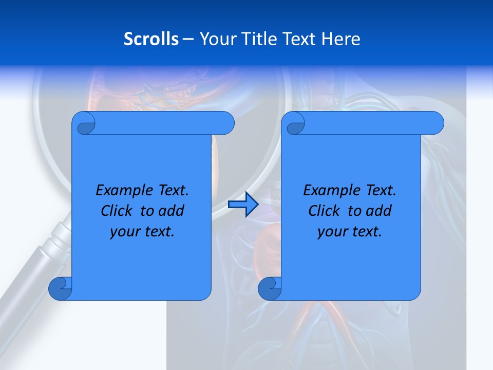 Arteries Details Science PowerPoint Template