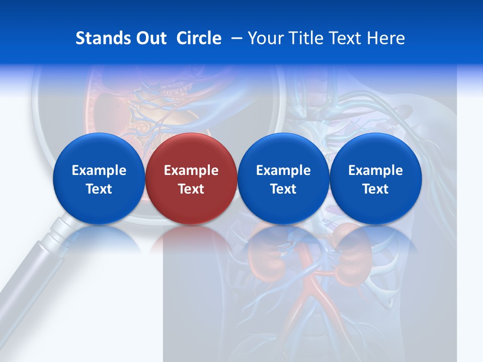 Arteries Details Science PowerPoint Template