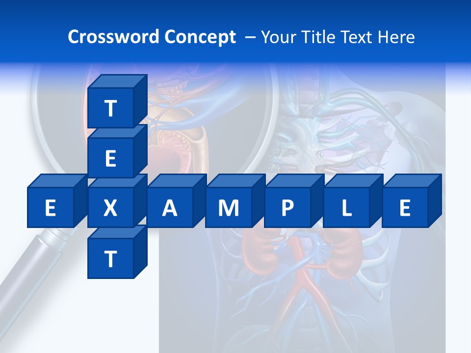 Arteries Details Science PowerPoint Template
