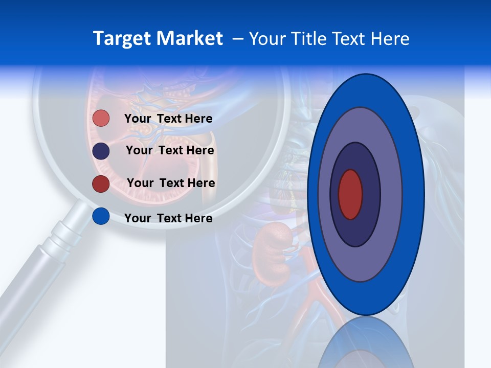 Arteries Details Science PowerPoint Template
