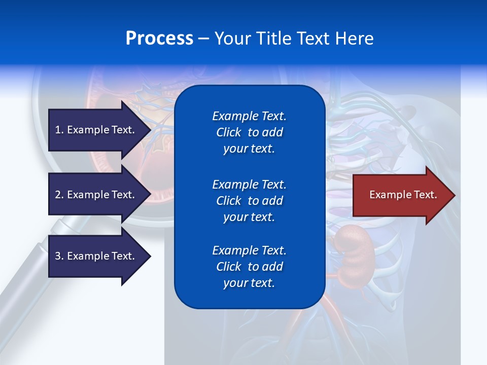 Arteries Details Science PowerPoint Template