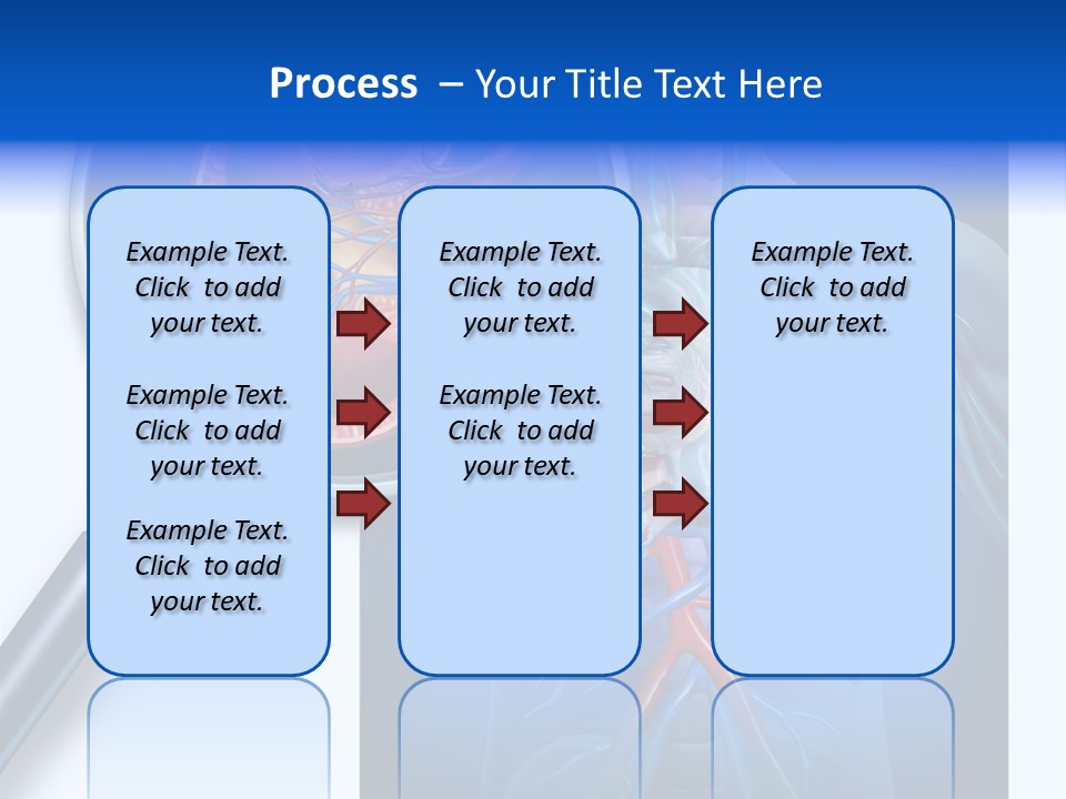 Arteries Details Science PowerPoint Template