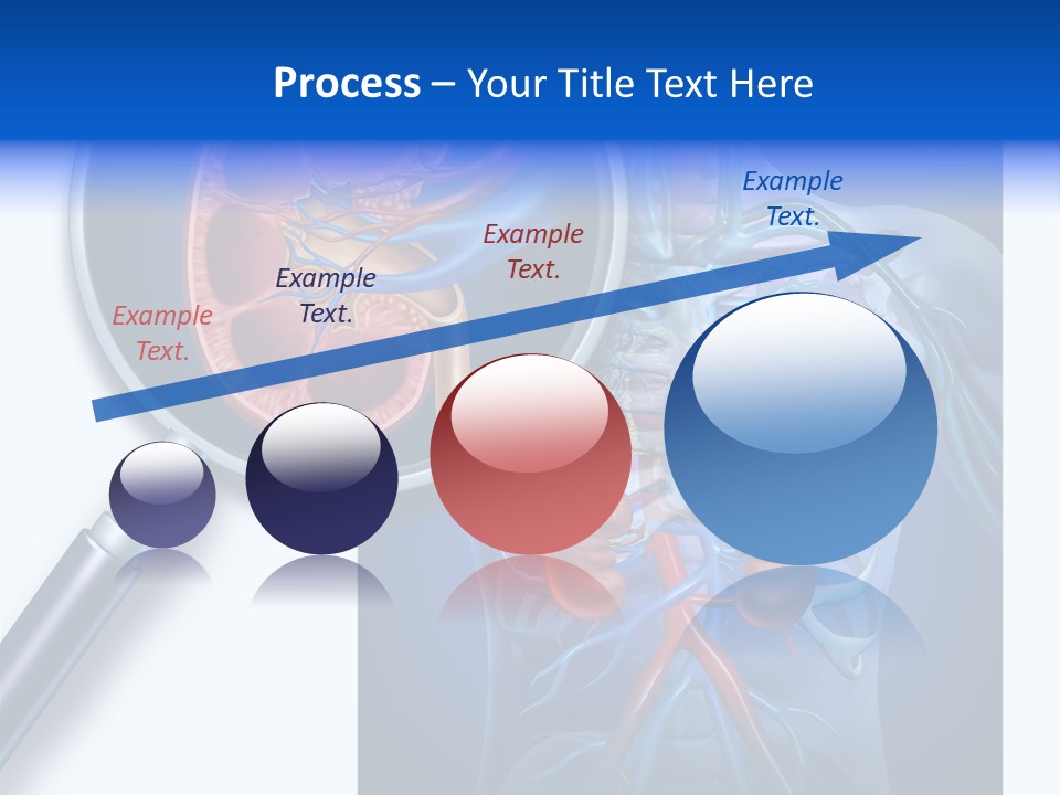 Arteries Details Science PowerPoint Template