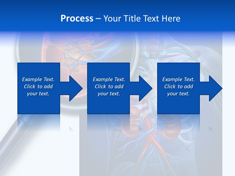 Arteries Details Science PowerPoint Template