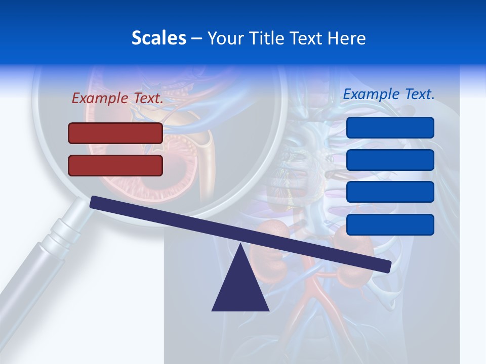 Arteries Details Science PowerPoint Template
