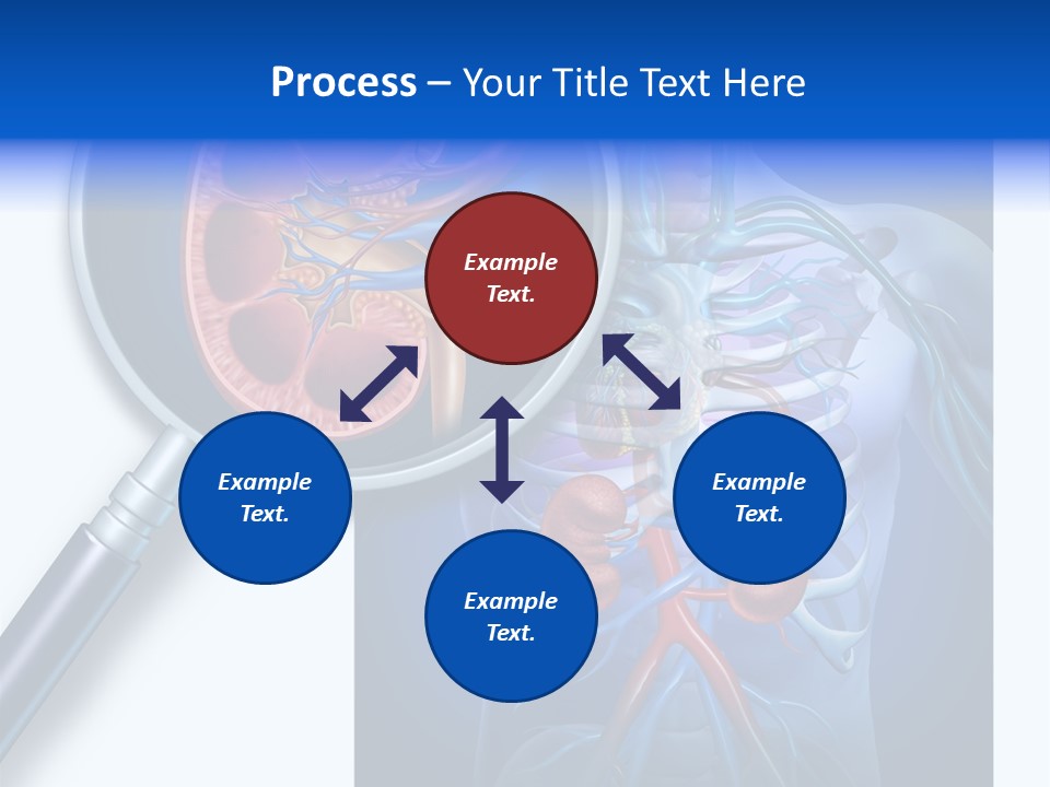 Arteries Details Science PowerPoint Template