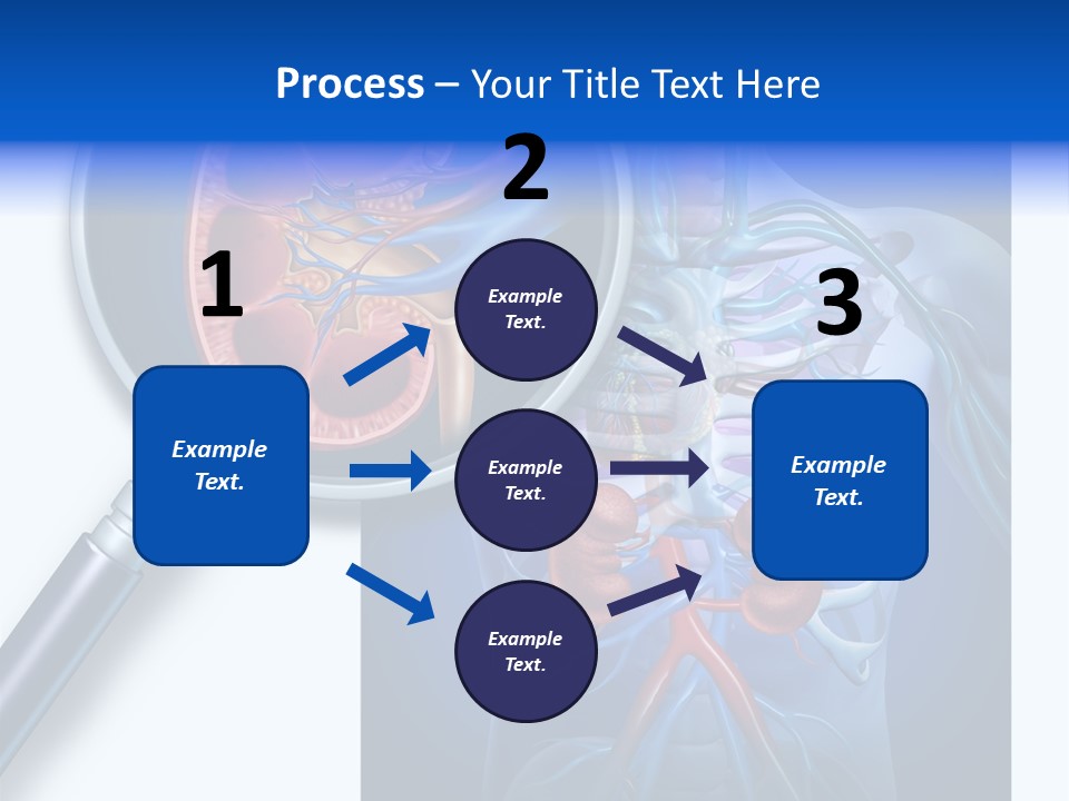Arteries Details Science PowerPoint Template
