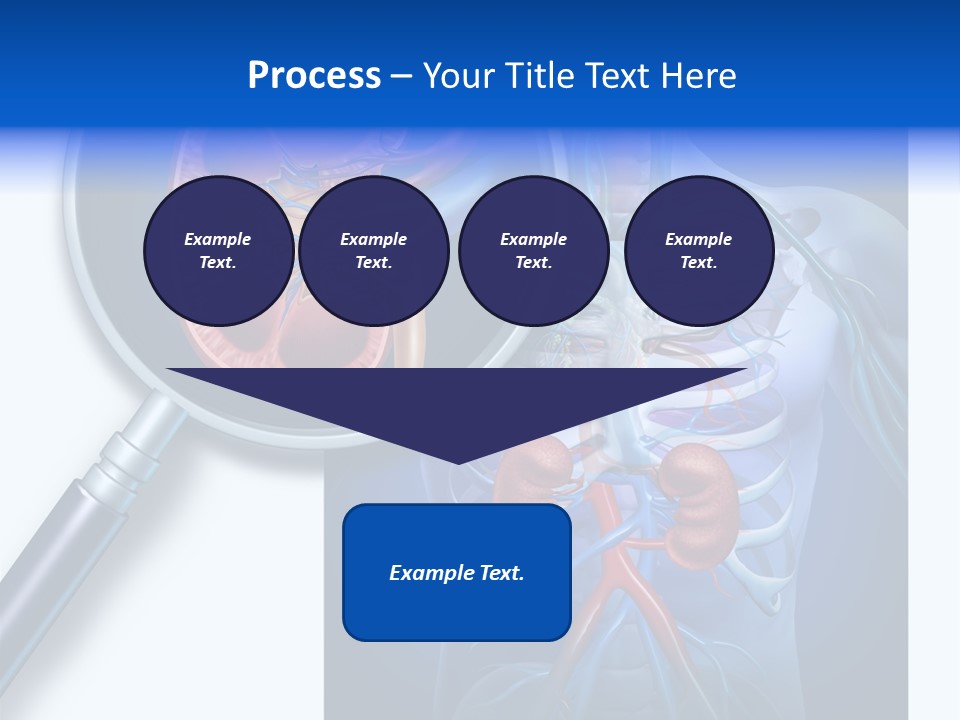 Arteries Details Science PowerPoint Template