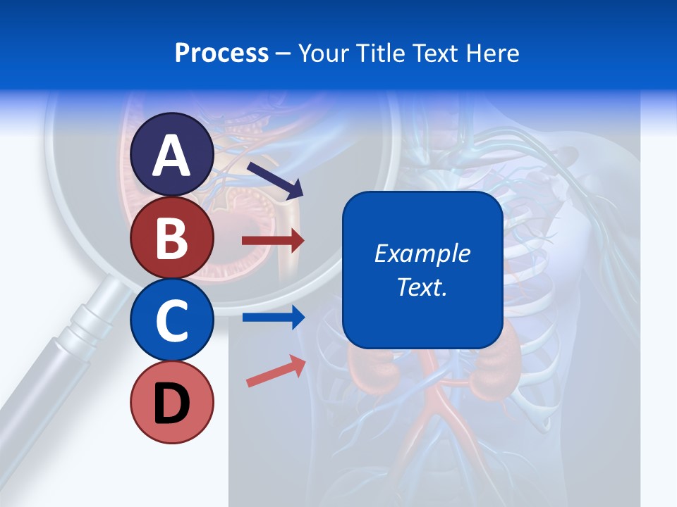 Arteries Details Science PowerPoint Template