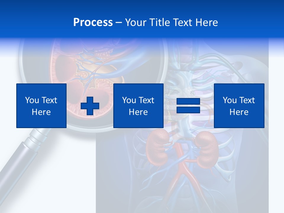 Arteries Details Science PowerPoint Template