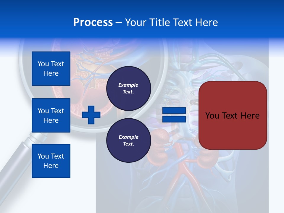 Arteries Details Science PowerPoint Template