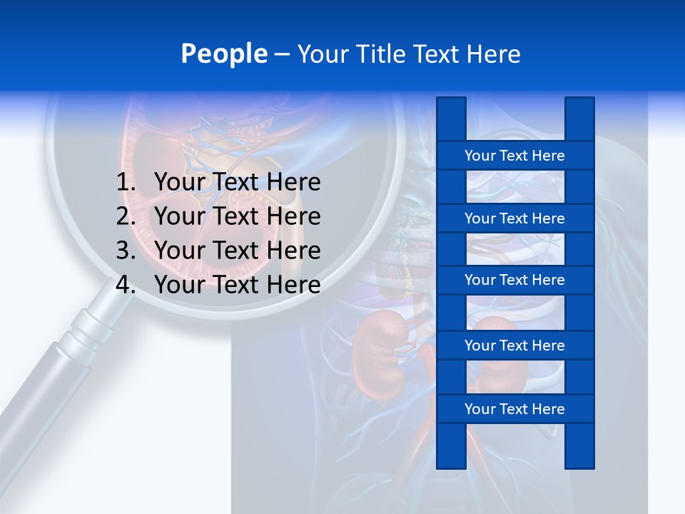 Arteries Details Science PowerPoint Template