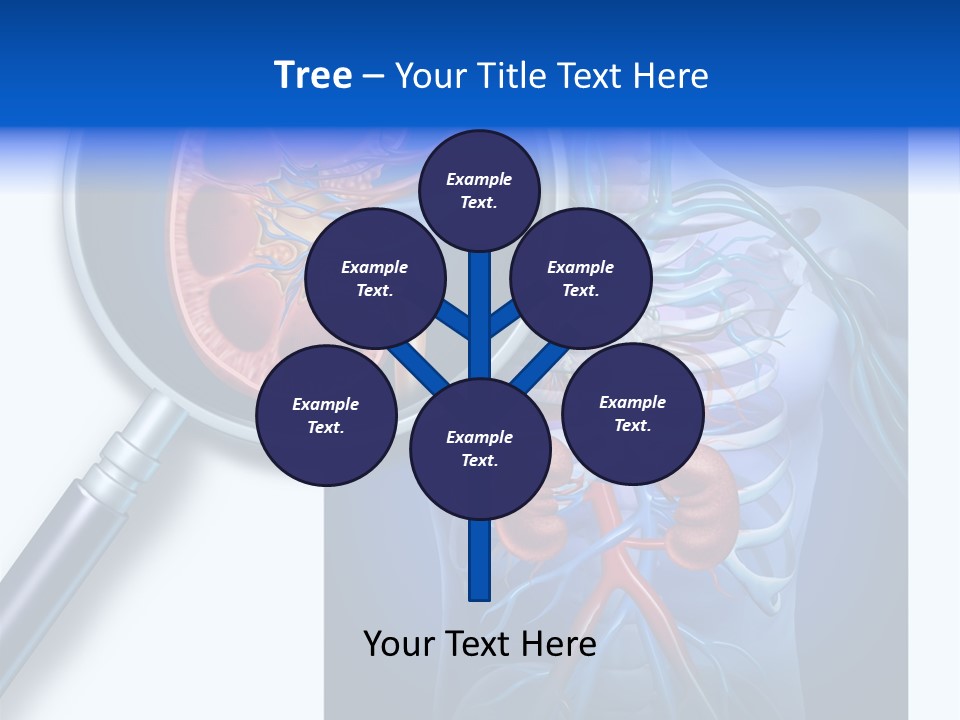 Arteries Details Science PowerPoint Template