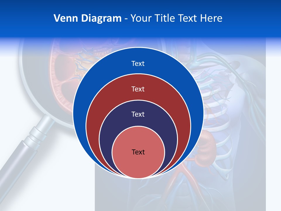 Arteries Details Science PowerPoint Template