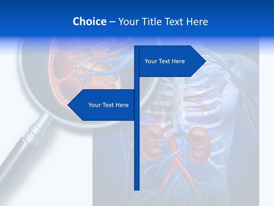 Arteries Details Science PowerPoint Template