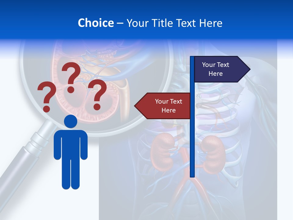 Arteries Details Science PowerPoint Template