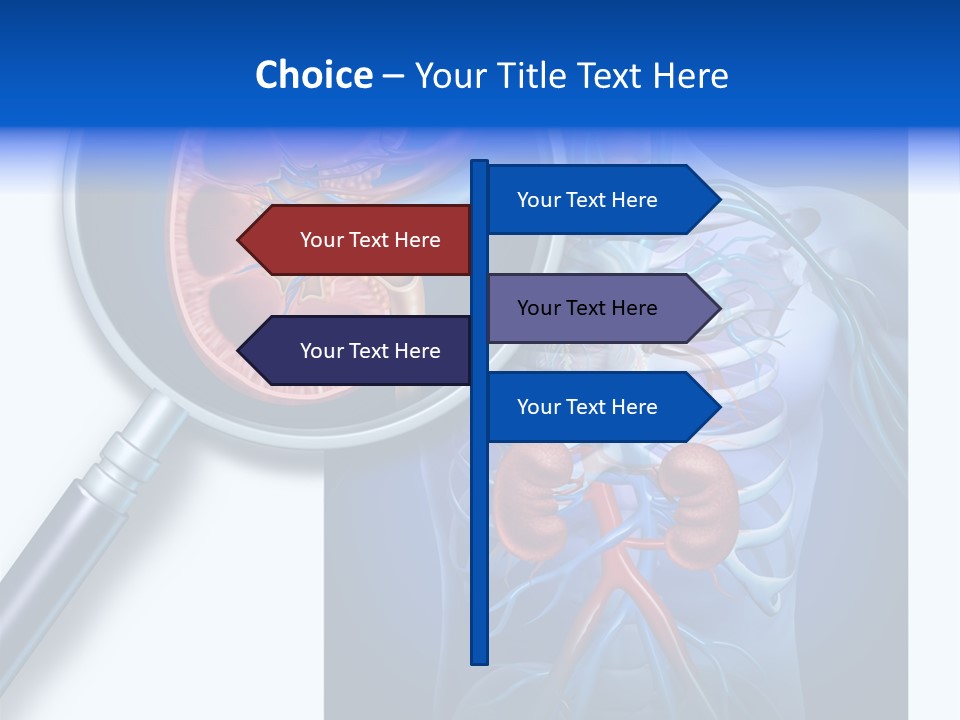 Arteries Details Science PowerPoint Template