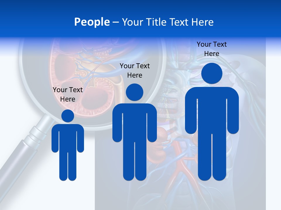 Arteries Details Science PowerPoint Template