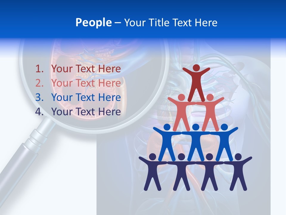 Arteries Details Science PowerPoint Template