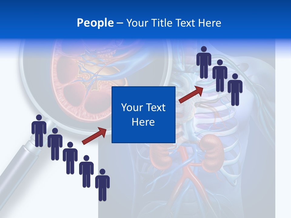 Arteries Details Science PowerPoint Template