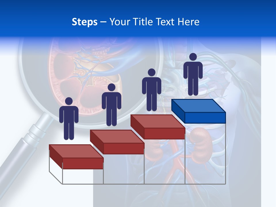 Arteries Details Science PowerPoint Template