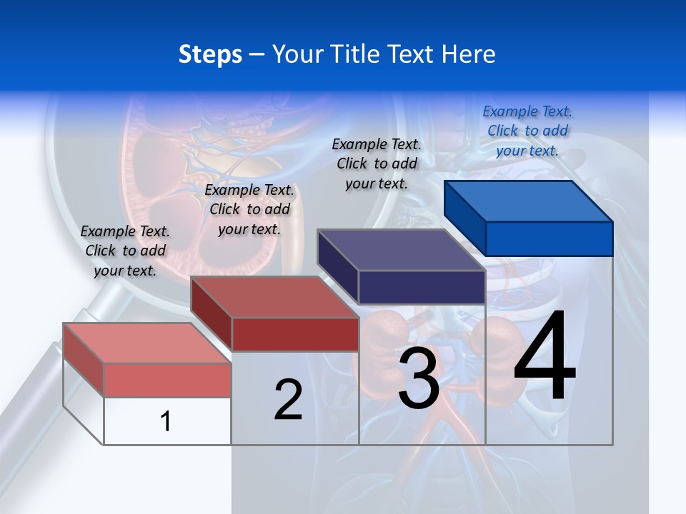 Arteries Details Science PowerPoint Template