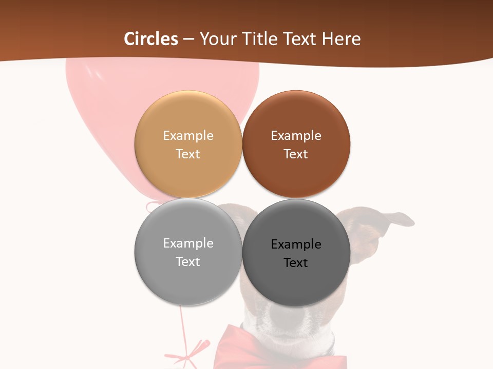 Baby Congratulation Funny PowerPoint Template