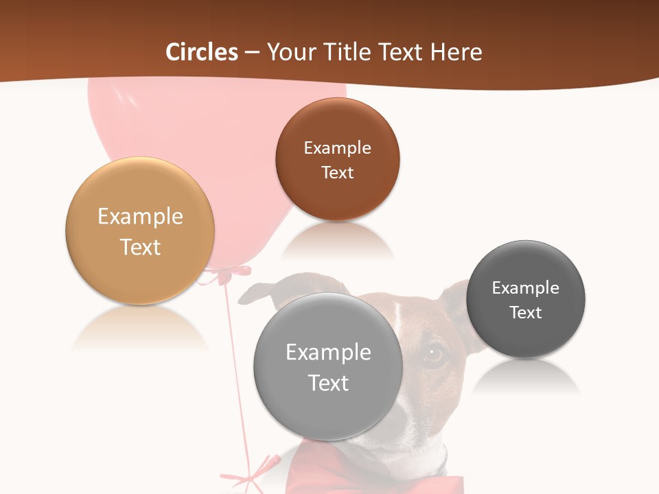 Baby Congratulation Funny PowerPoint Template