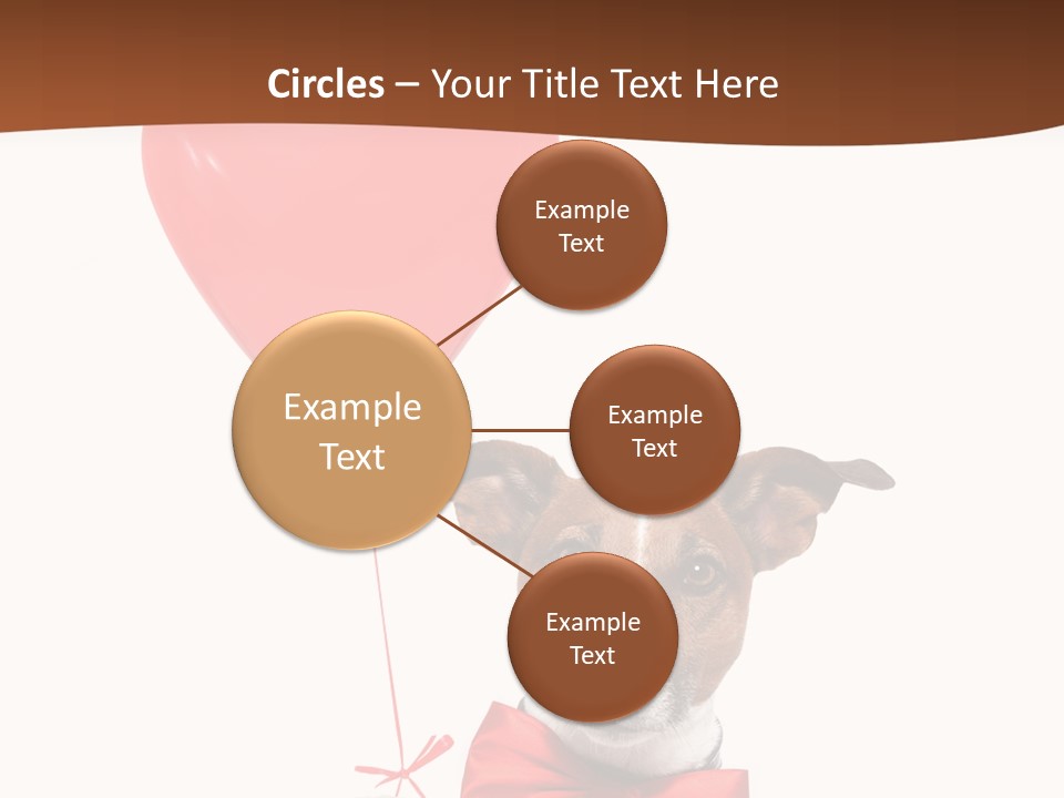 Baby Congratulation Funny PowerPoint Template