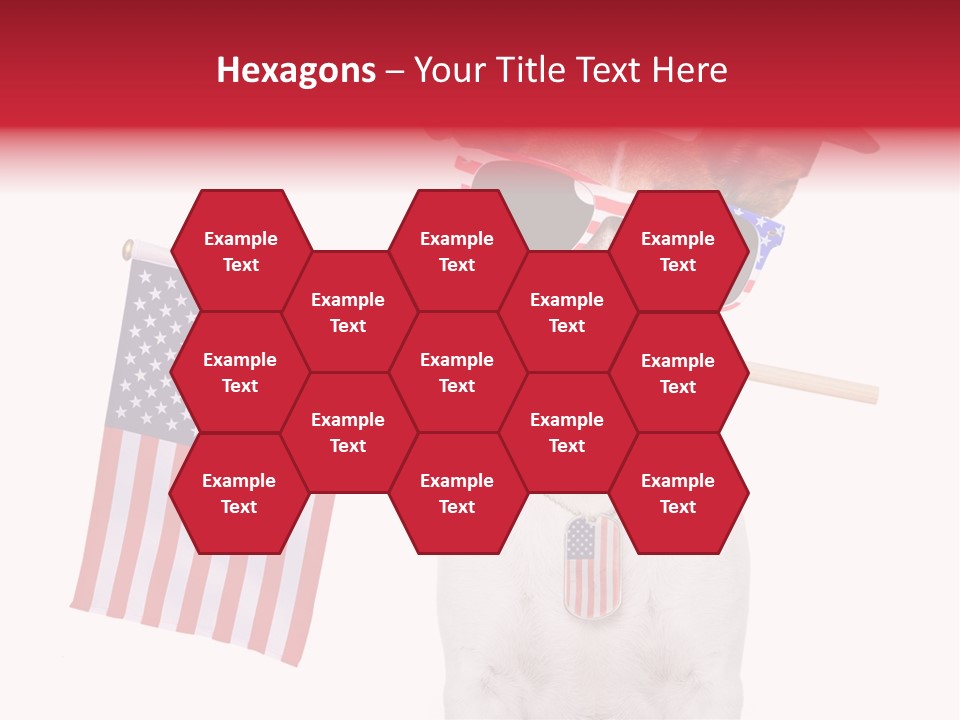 States Honor Pretty PowerPoint Template