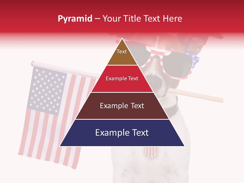 States Honor Pretty PowerPoint Template