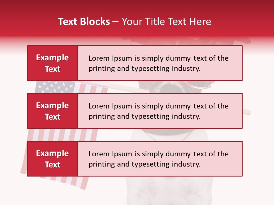 States Honor Pretty PowerPoint Template