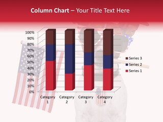 States Honor Pretty PowerPoint Template