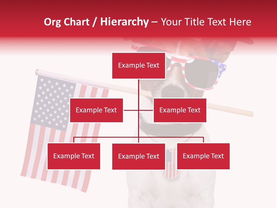 States Honor Pretty PowerPoint Template