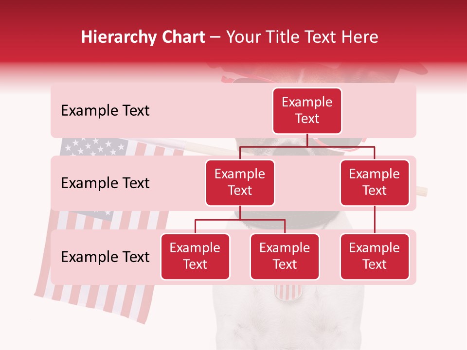 States Honor Pretty PowerPoint Template