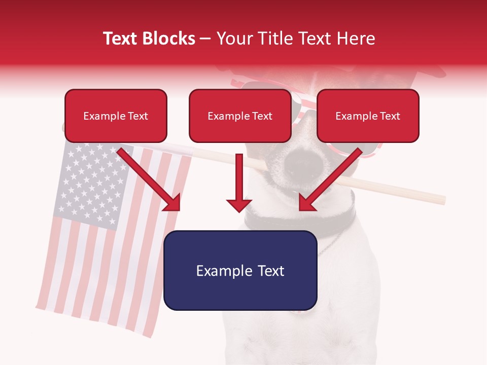 States Honor Pretty PowerPoint Template