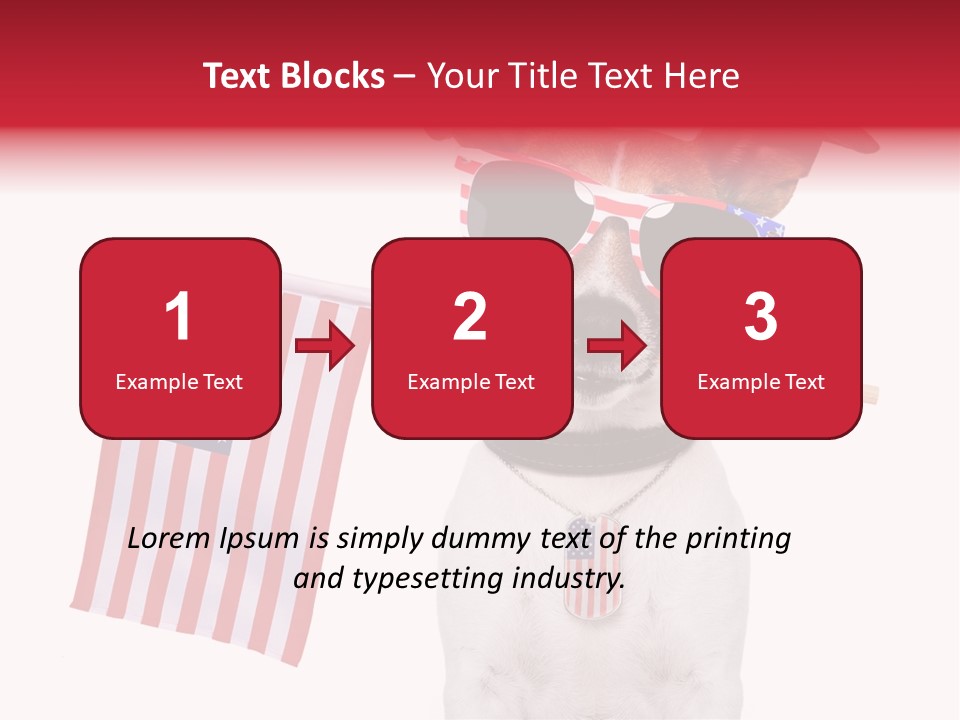 States Honor Pretty PowerPoint Template