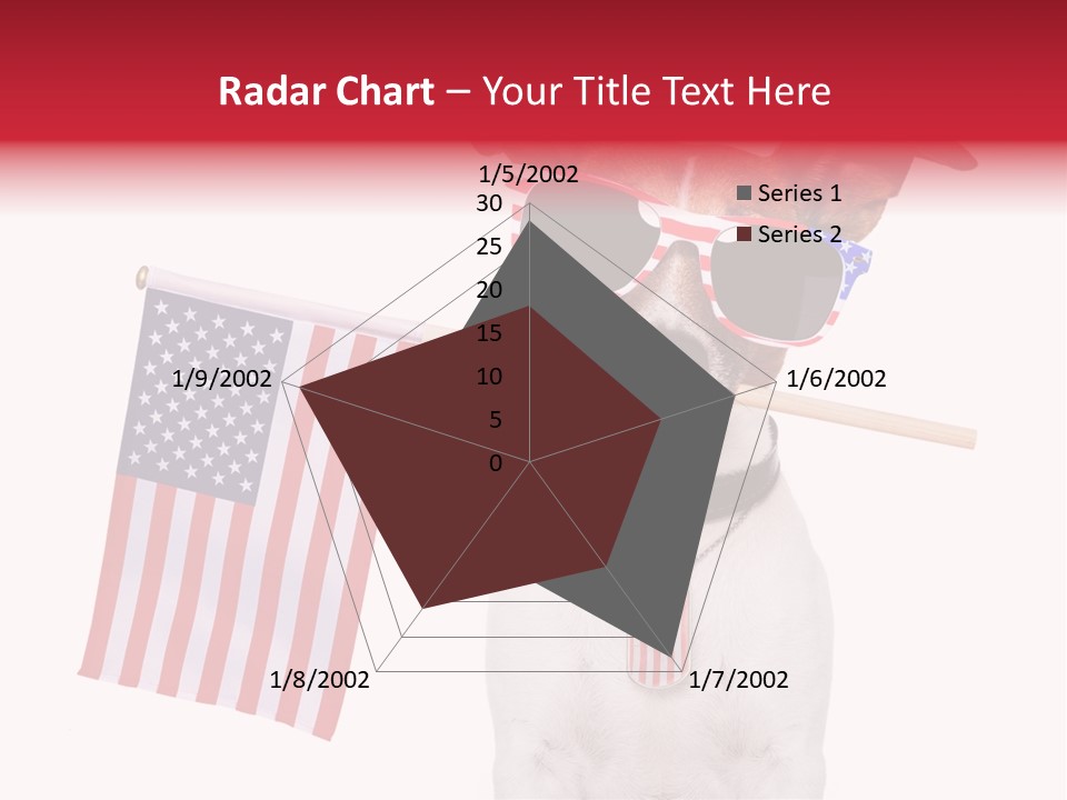 States Honor Pretty PowerPoint Template