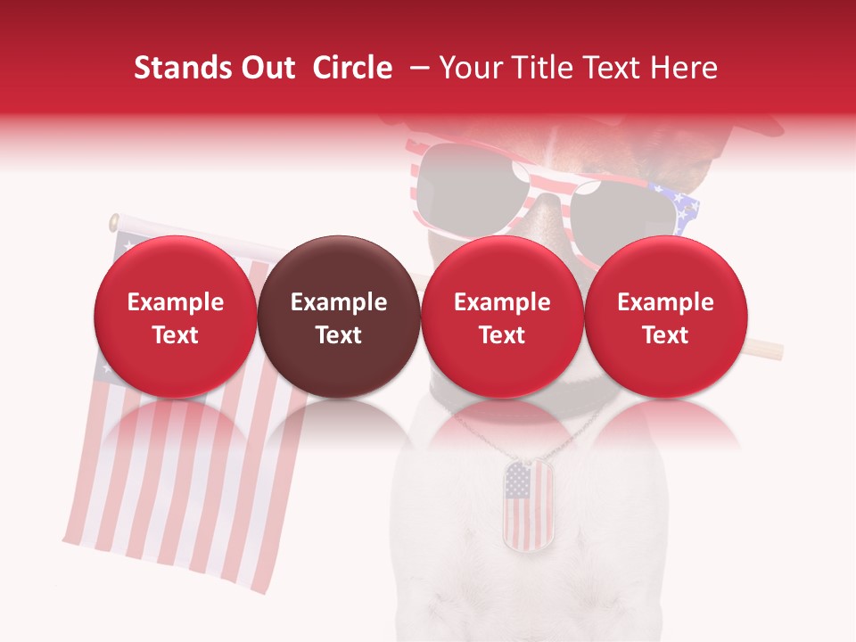 States Honor Pretty PowerPoint Template