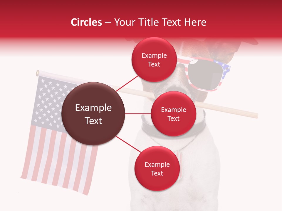 States Honor Pretty PowerPoint Template