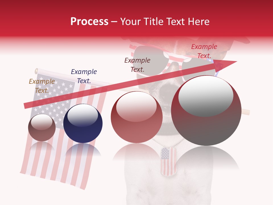 States Honor Pretty PowerPoint Template